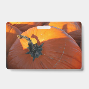 Big Orange Pumpkin ID Badge