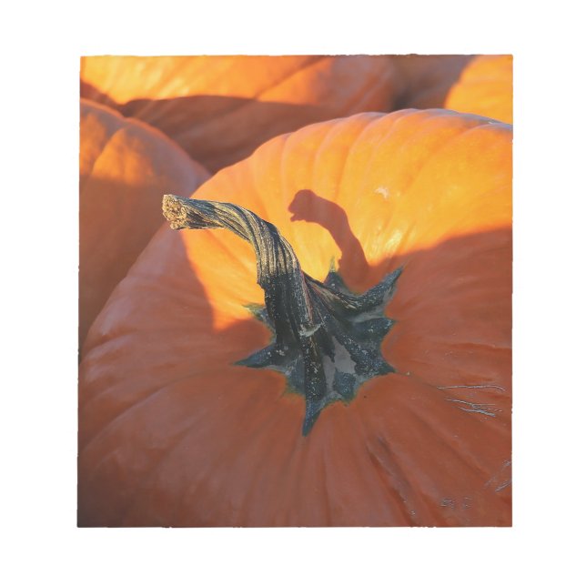 Big Orange Pumpkin  Notepad (Front)