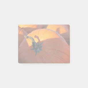 Big Orange Pumpkin Post-it Notes