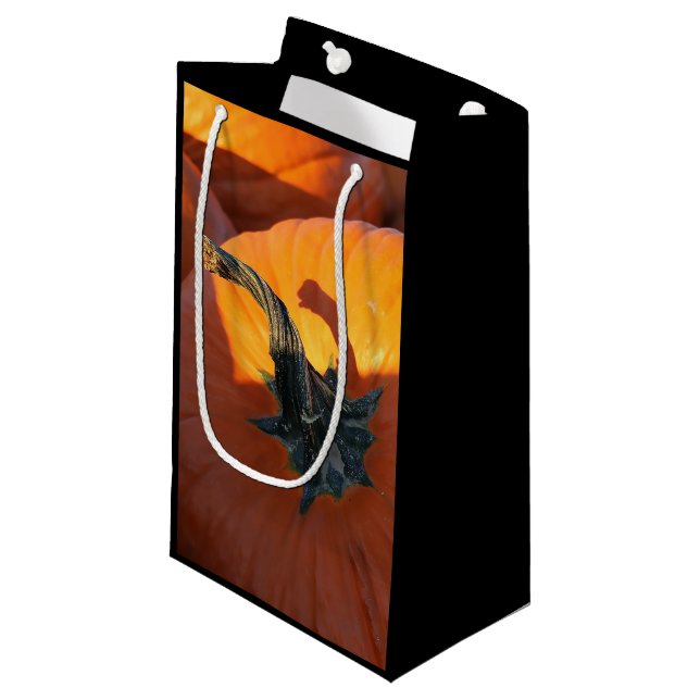 Big Orange Pumpkin  Small Gift Bag (Front Angled)