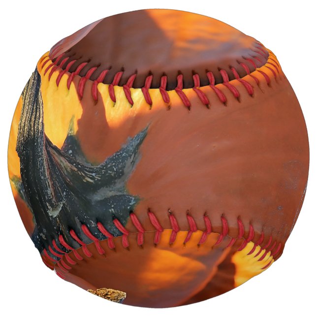Big Orange Pumpkin  Softball (Front)
