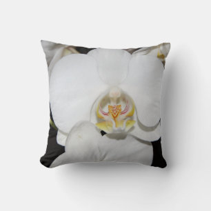 big orchid cushion