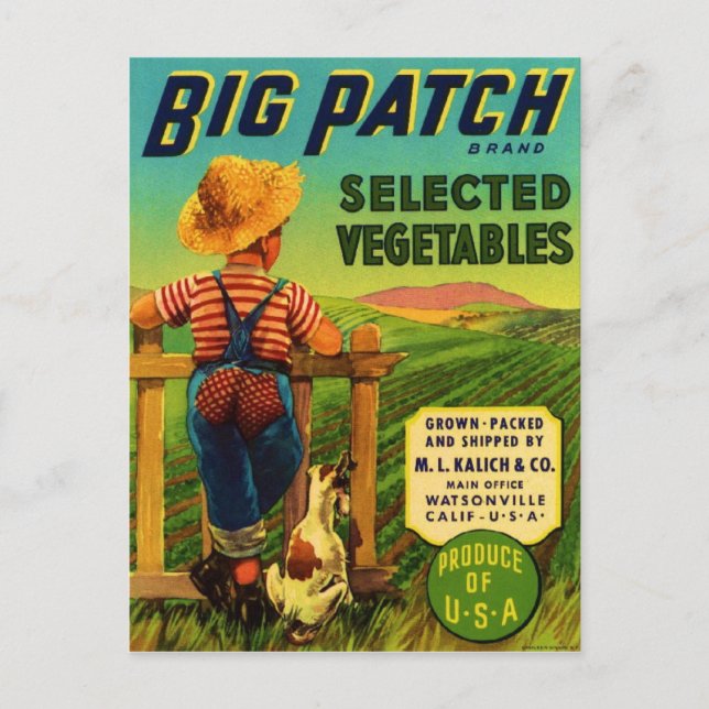 Big Patch Postcard (Front)