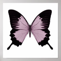 Big Pink & Black Butterfly - Personalise