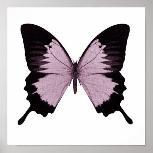 Big Pink & Black Butterfly - Personalise Poster