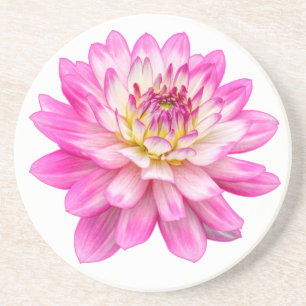 Big Pink Dahlia Coaster