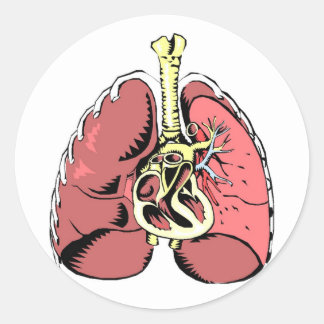 Big Pink Lungs Classic Round Sticker