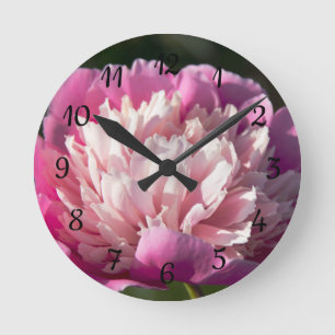 Big pink peony flowers in spring day   round clock