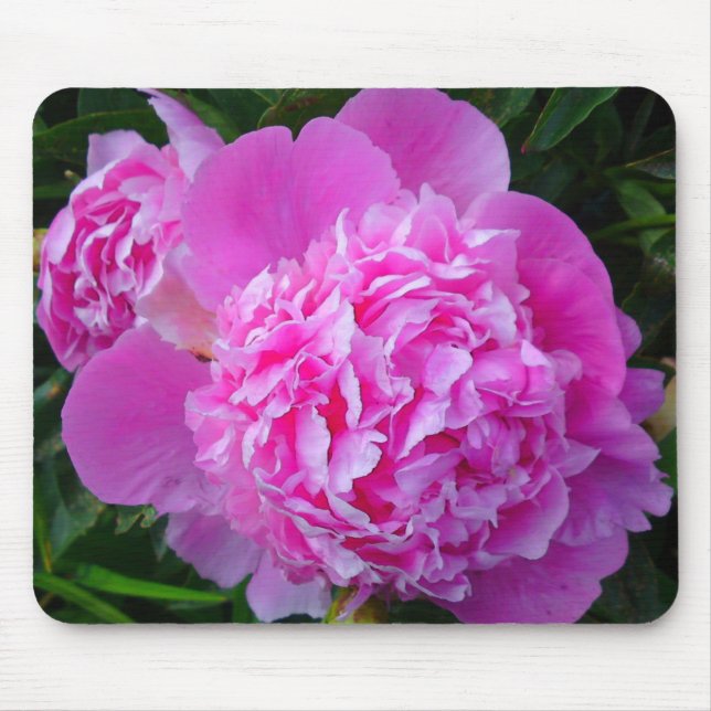 Big Pink Peony Mouse Pad (Front)