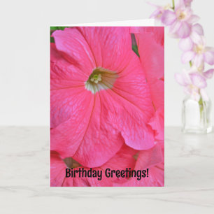 Big Pink Petunia Flowers Pretty Birthday Card
