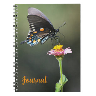 Big Pretty Butterfly and Flower Journal Personal