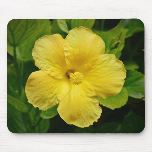 Big Pretty Yellow Flower Mouse Pad (Front)