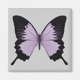 Big Purple & Black Butterfly Magnet