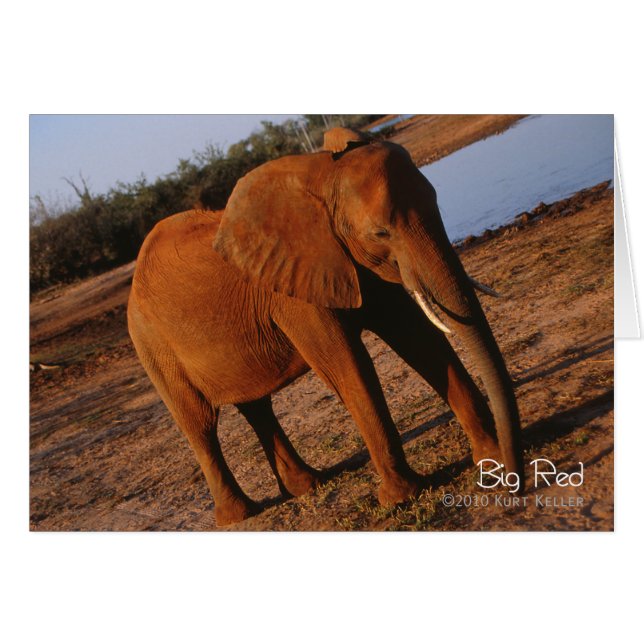 Big Red (Front Horizontal)