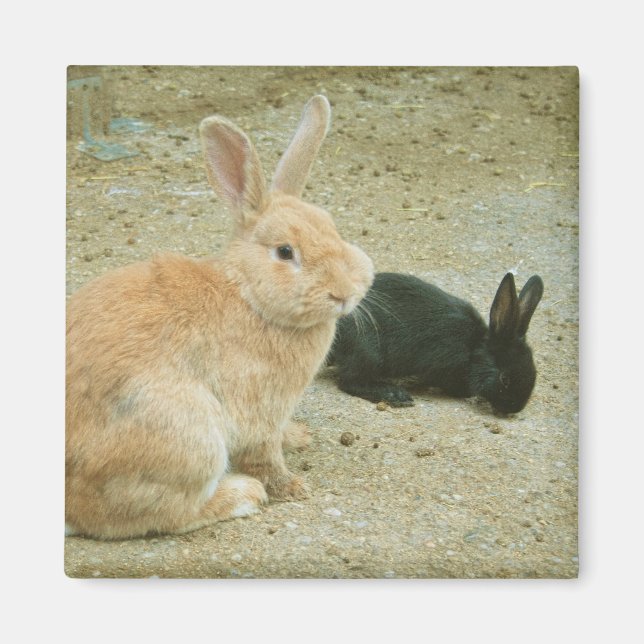 Big Red Bunny Magnet (Front)