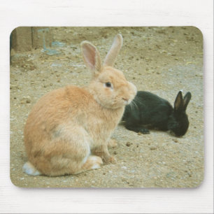 Big Red Bunny Mouse Pad