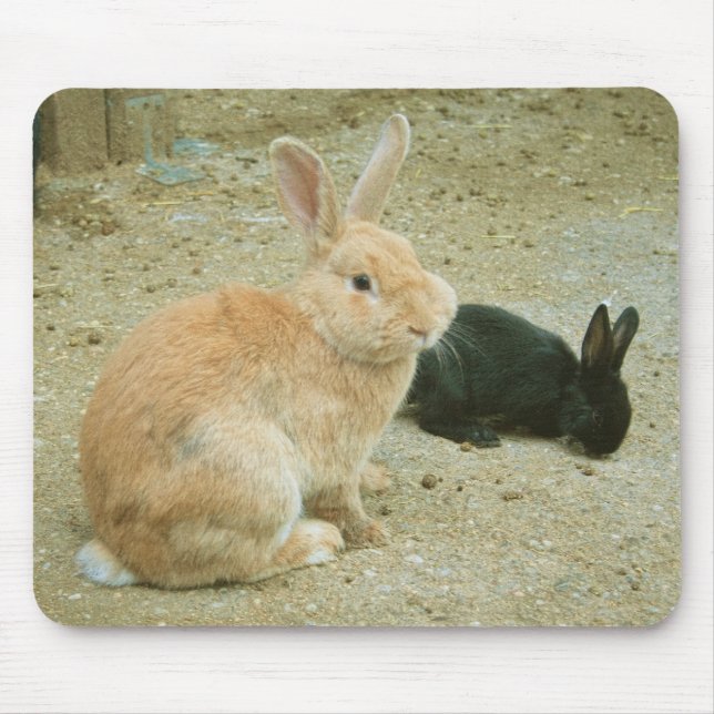 Big Red Bunny Mouse Pad (Front)