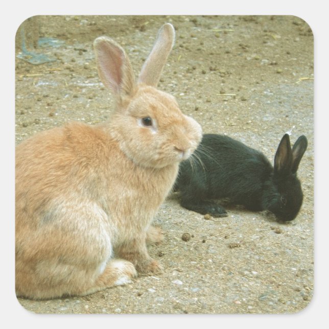 Big Red Bunny Square Sticker (Front)