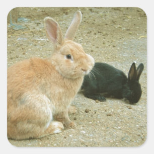 Big Red Bunny Square Sticker