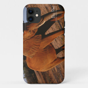 Big Red iPhone 11 Case
