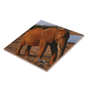 Big Red Ceramic Tile