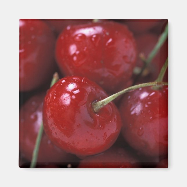 Big Red Cherries Magnet (Front)