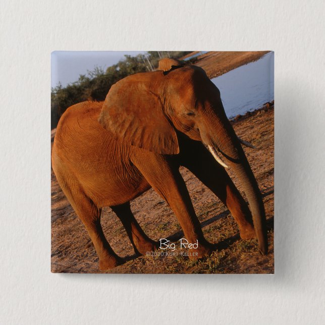 Big Red Elephant 15 Cm Square Badge (Front)