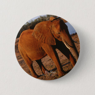 Big Red Elephant 6 Cm Round Badge