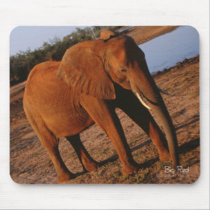 Big Red Elephant Mouse Pad