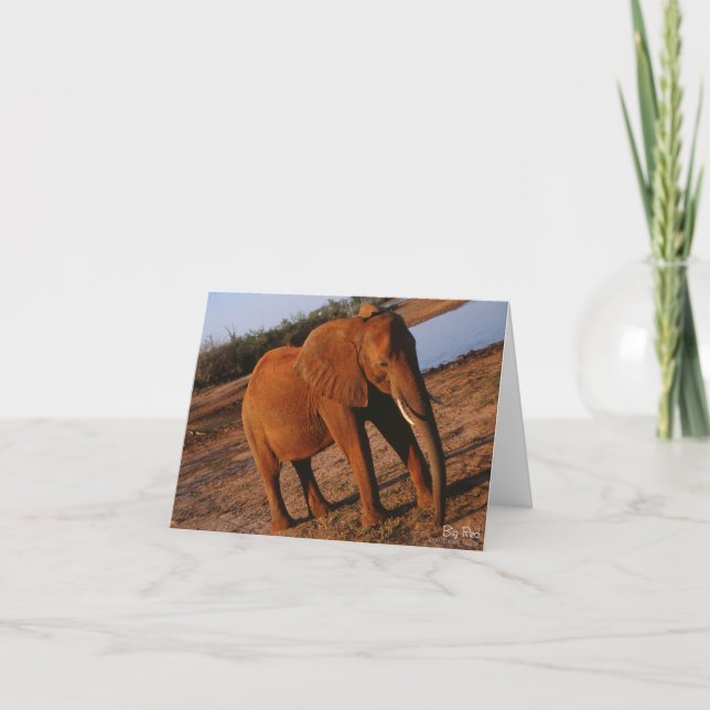 Big Red Elephant Note Card (Front)