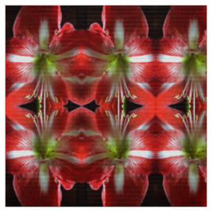 Big Red Fabric
