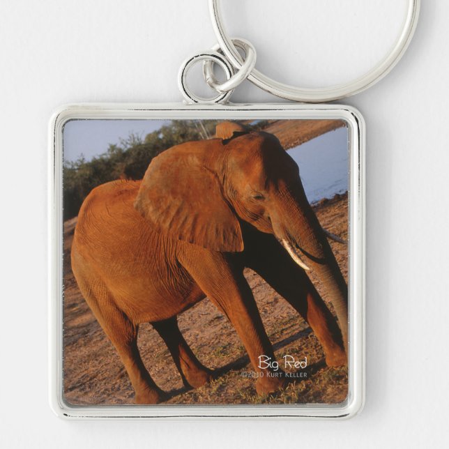 Big Red Key Ring (Front)