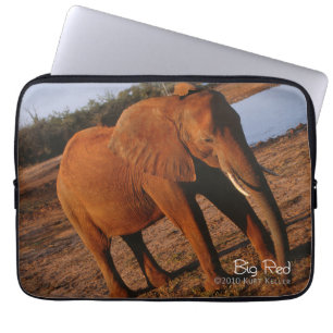 Big Red Laptop Sleeve