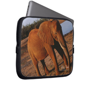 Big Red Laptop Sleeve