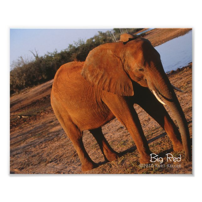 Big Red Photo Print (Front)