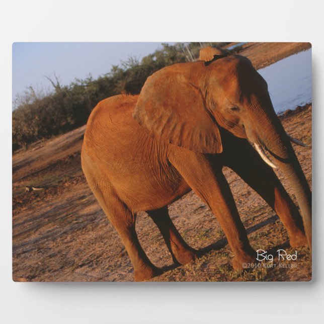 Big Red Plaque (Front)