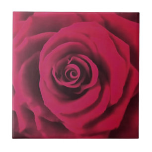 Big Red Rose Ceramic Tile