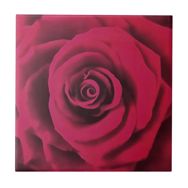 Big Red Rose Ceramic Tile (Front)