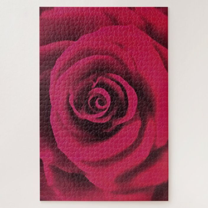 giant red rose puzzle