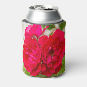 Big red roses in the garden can cooler