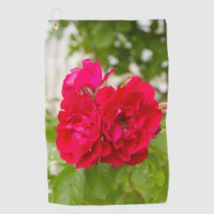 Big red roses in the garden golf towel