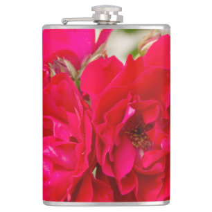Big red roses in the garden hip flask