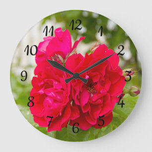 Big red roses in the garden  large clock