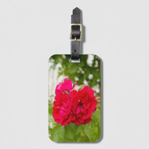 Big red roses in the garden luggage tag