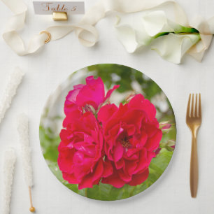 Big red roses in the garden    paper plate