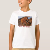 Big Red Save Our Wildlife