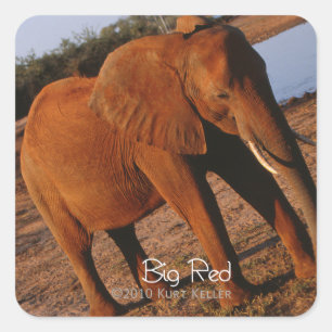 Big Red Square Sticker