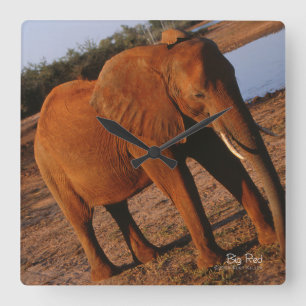 Big Red Square Wall Clock