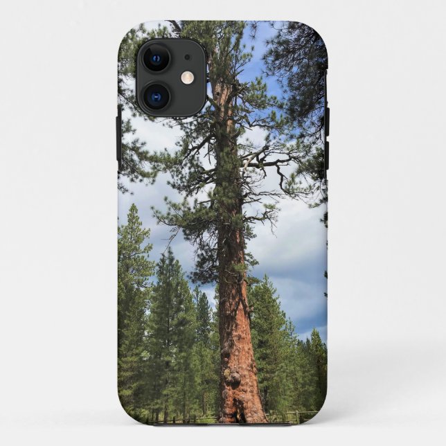 Big Red Tree, La Pine, OR Case-Mate iPhone Case (Back)