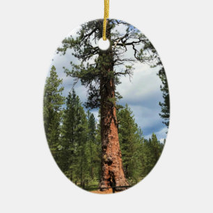Big Red Tree, La Pine, OR Ceramic Ornament